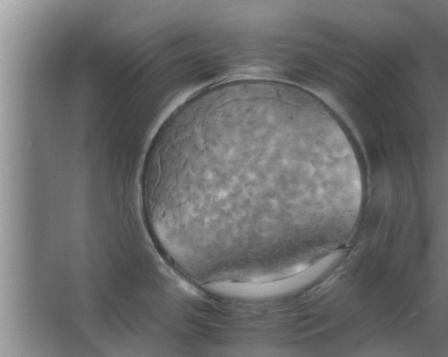 X0000063471341200602031850