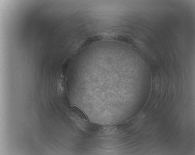 X0000063471346200602031849