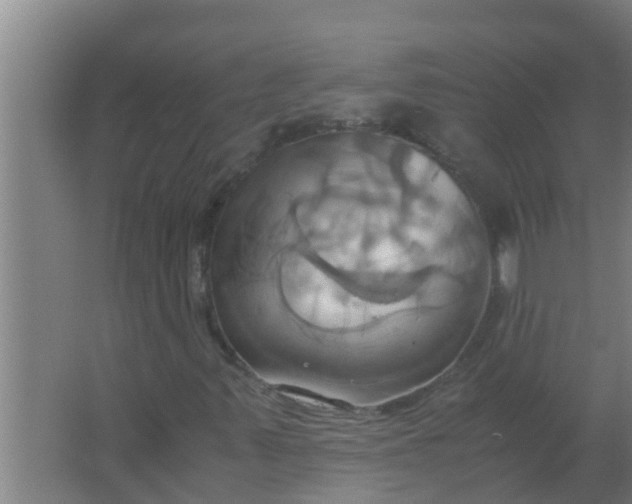 X0000063471347200602031849