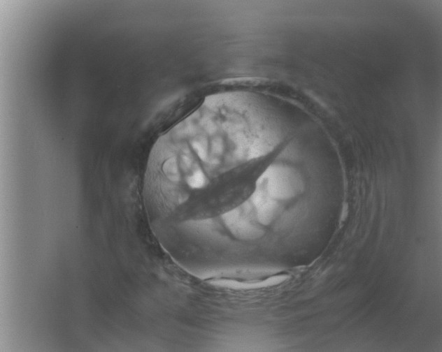 X0000063471351200602031849