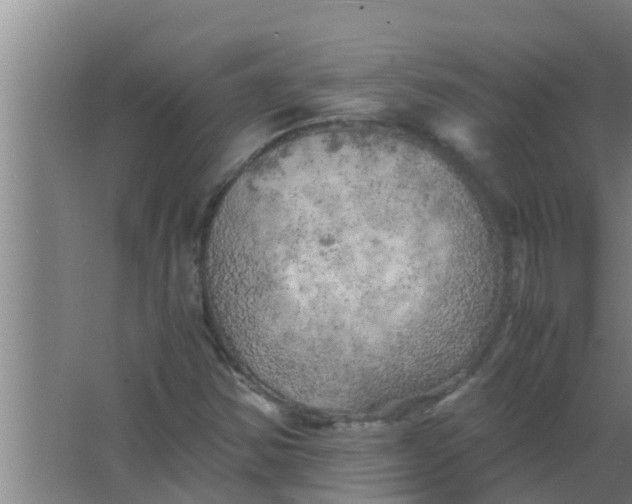 X0000063471354200602031849