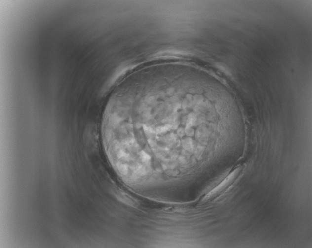 X0000063471355200602031849