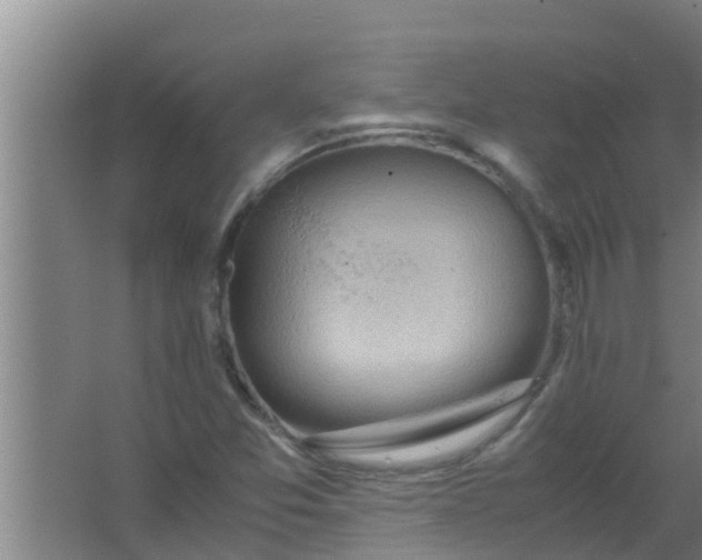 X0000063471357200602031849