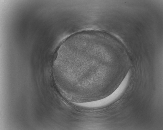 X0000063471359200602031849