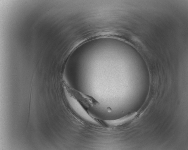 X0000063471361200602031849