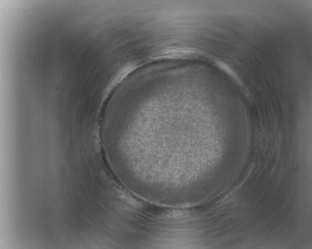 X0000063471362200602031849