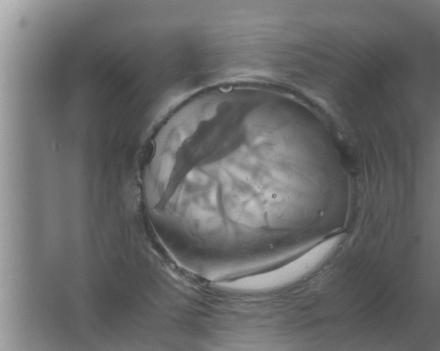 X0000063471363200602031849