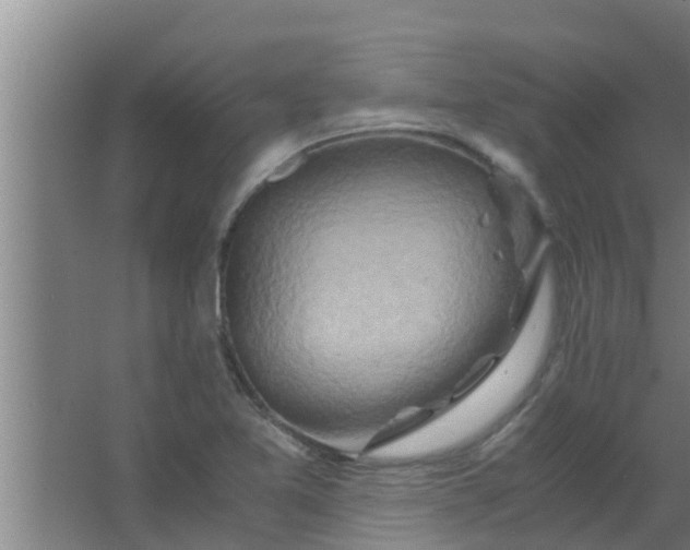 X0000063471365200602031849