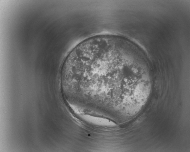 X0000063471367200602031849