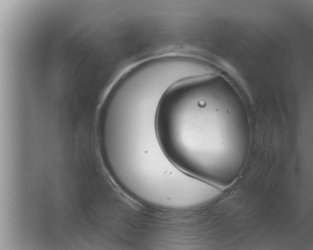 X0000063471368200602031849