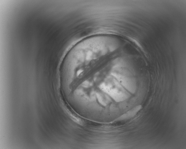 X0000063471371200602031849