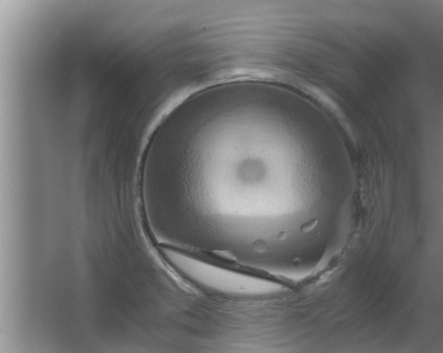 X0000063471373200602031849