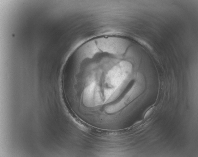 X0000063471375200602031849