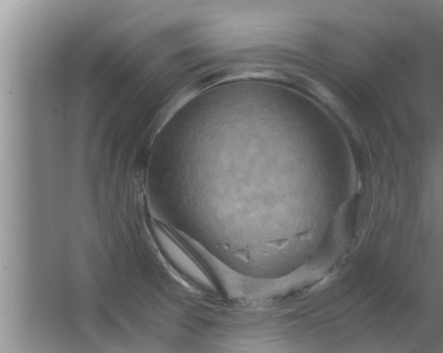 X0000063471377200602031848