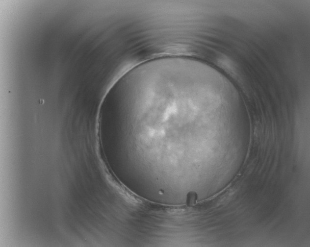 X0000063471378200602031848