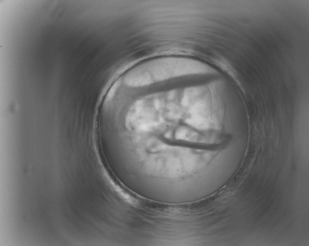 X0000063471379200602031848