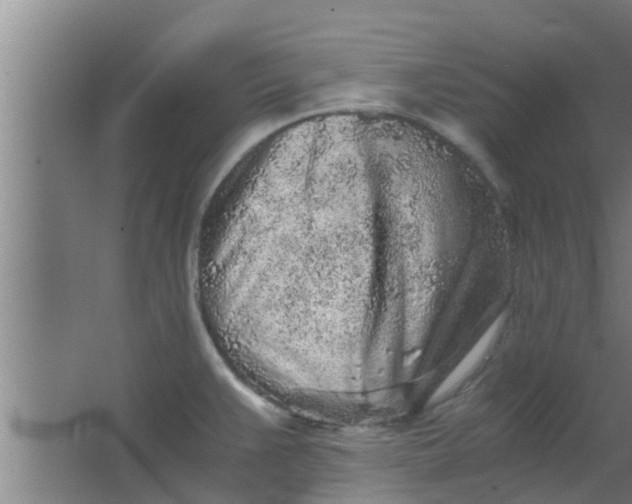 X0000063471383200602031848