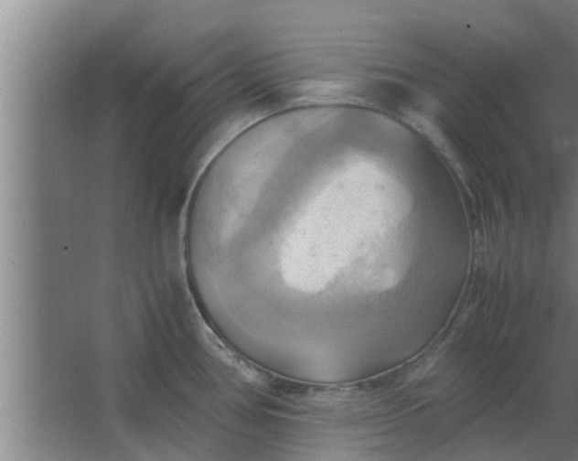 X0000063471386200602031848