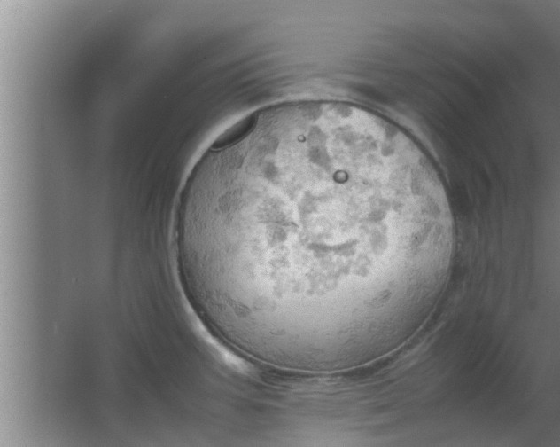 X0000063471387200602031848