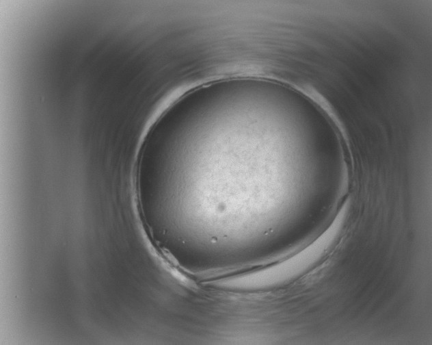 X0000063471389200602031848