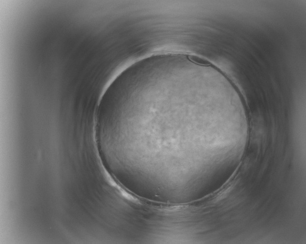 X0000063471390200602031848