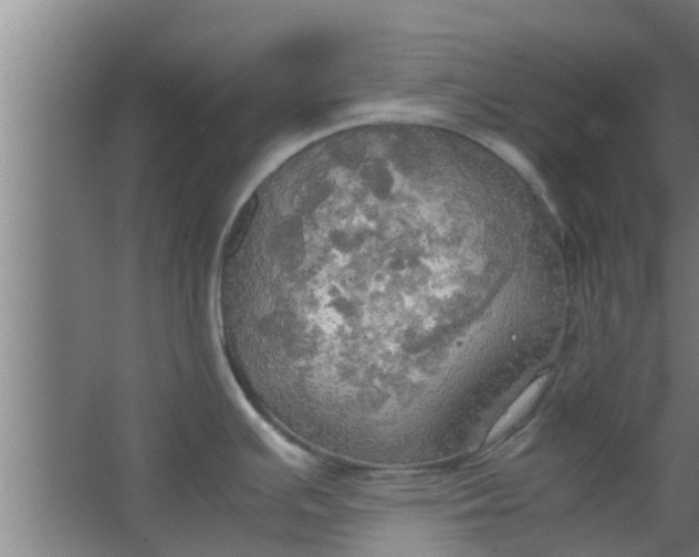 X0000063471391200602031848