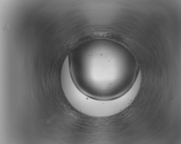 X0000063471394200602031847