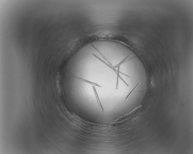 X0000063471396200602031847