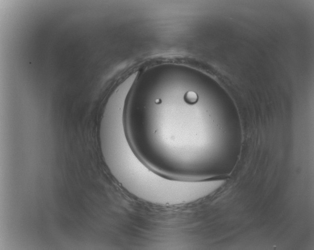 X0000063471398200602031847