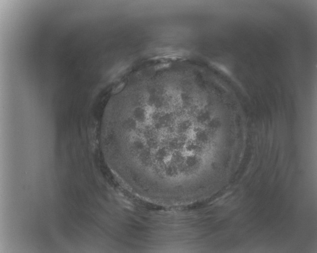 X0000063471399200602031848