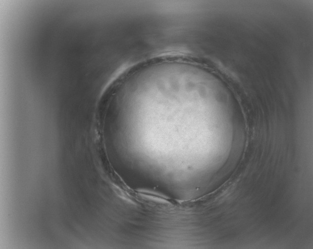 X0000063471400200602031848