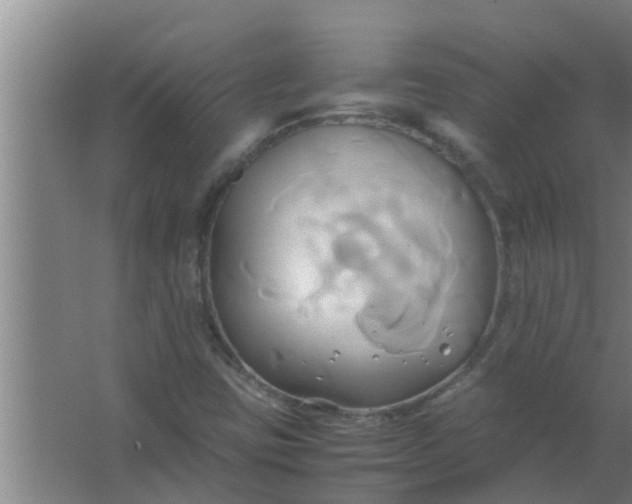 X0000063471403200602031848