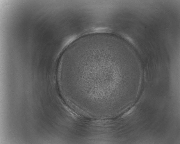 X0000063471405200602031848