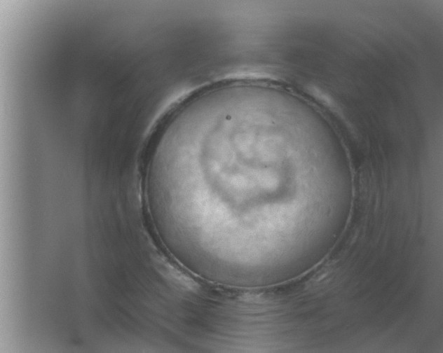 X0000063471408200602031848