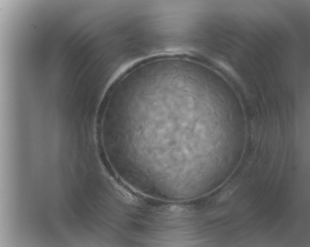 X0000063471412200602031848