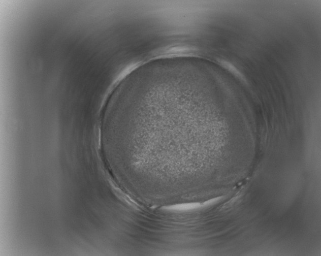 X0000063471413200602031848