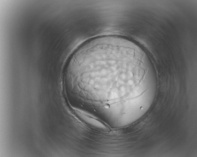 X0000063471415200602031848