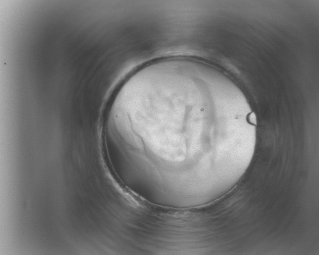 X0000063471416200602031848