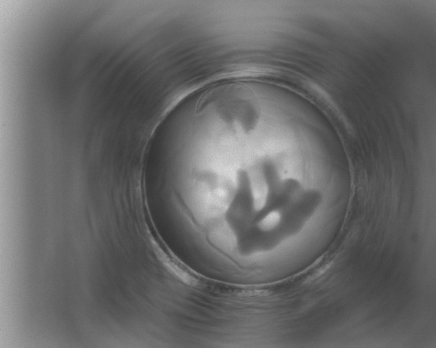 X0000063471417200602031848