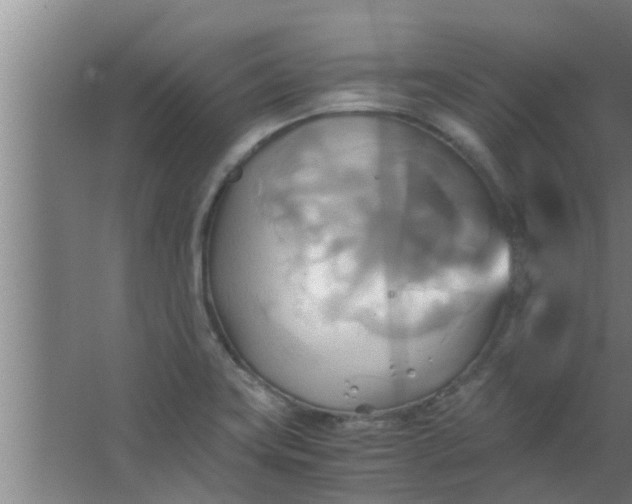 X0000063471419200602031848