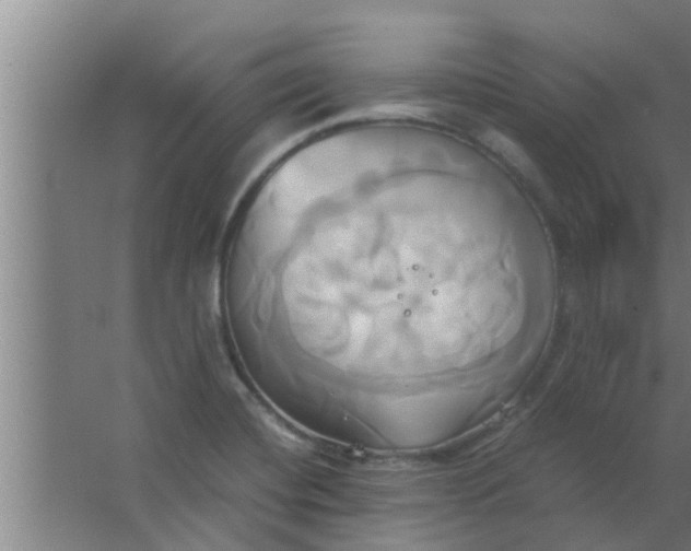 X0000063471420200602031848