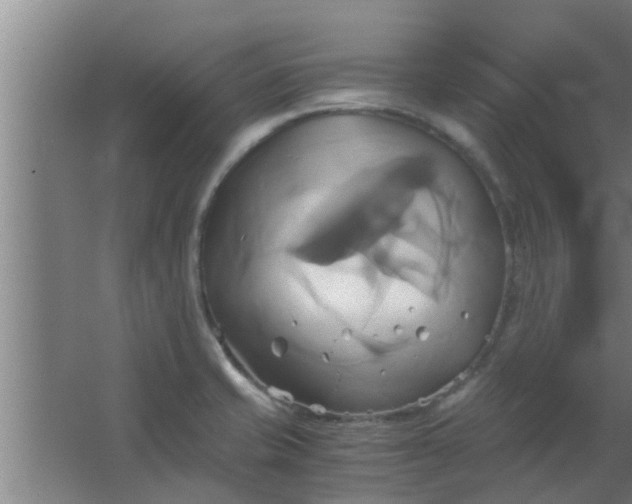 X0000063471421200602031848