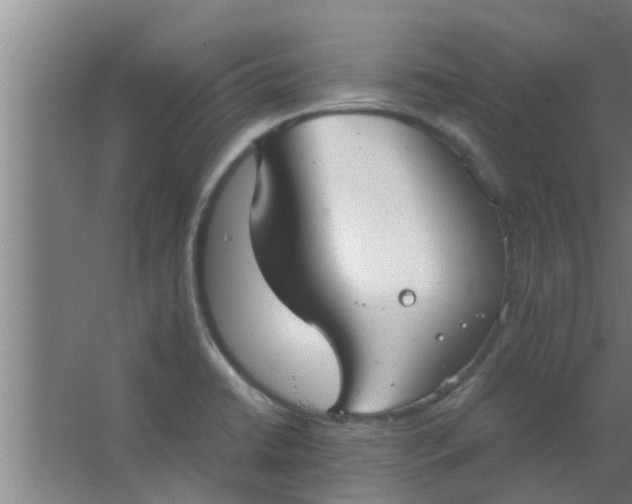 X0000063471422200602031848