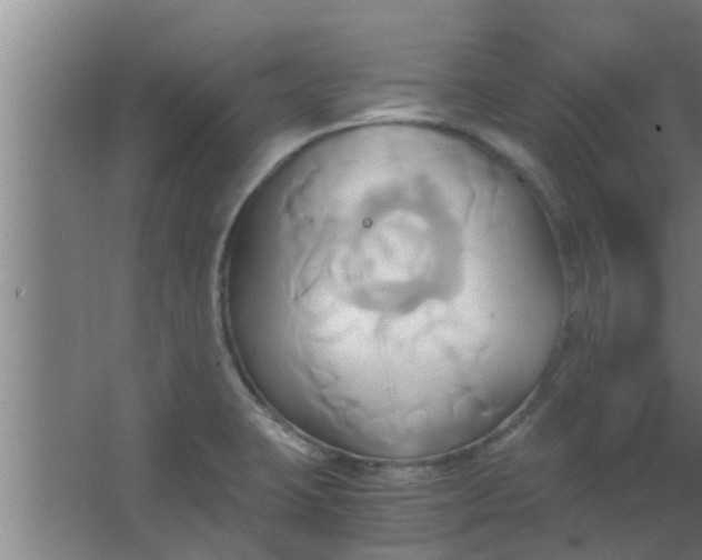 X0000063471423200602031848