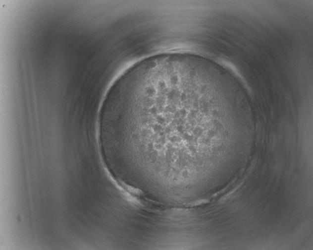 X0000063471424200602031848