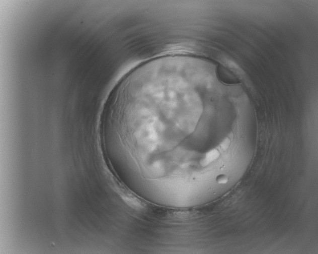 X0000063471427200602031848