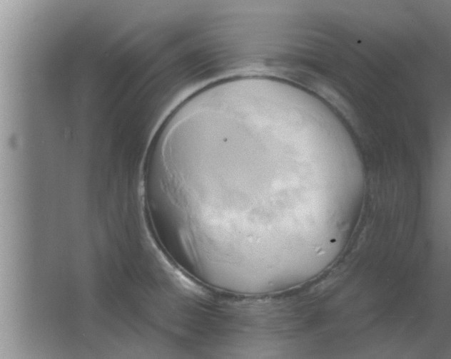 X0000063471428200602031848