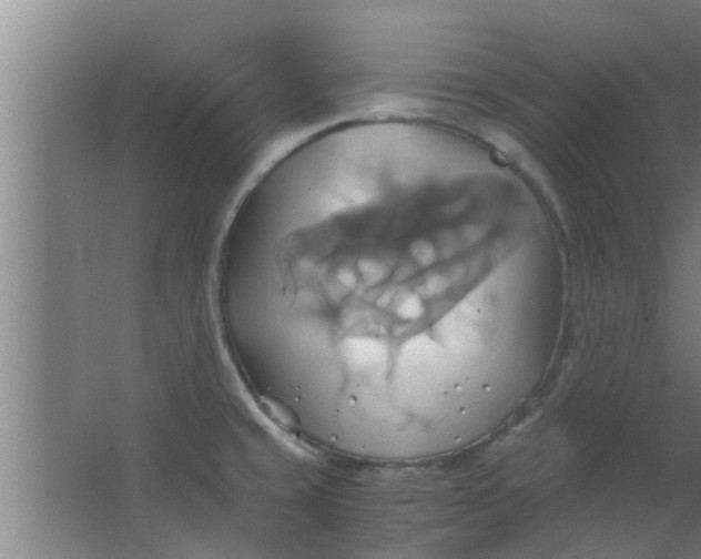 X0000063471429200602031848