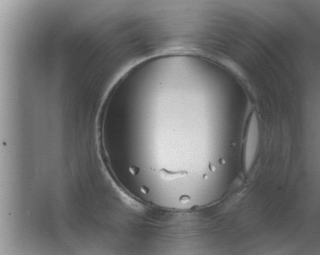 X0000063471430200602031848