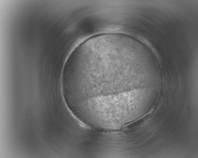 X0000063471432200602031848